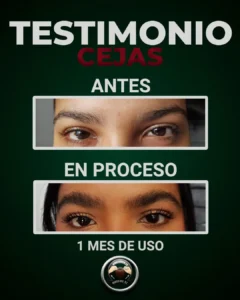 tonico para cejas resultados en 1 mes